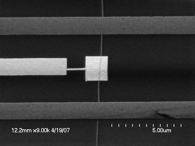 Carbon Nanotube